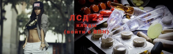 гидра Вяземский