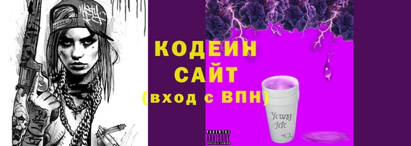 гидра Вяземский