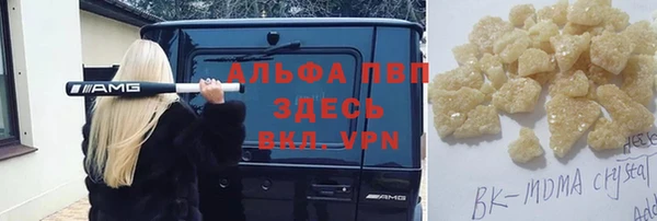 прущие грибы Сосновый Бор