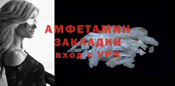гидра Вяземский