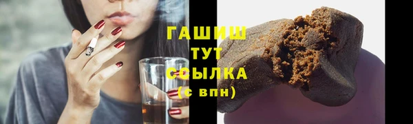 гидра Вяземский