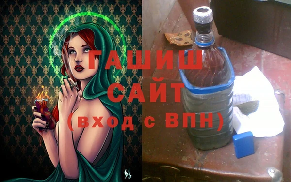 гидра Вяземский