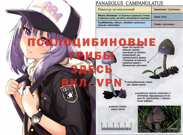 гидра Вяземский