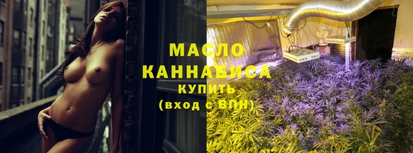 гидра Вяземский
