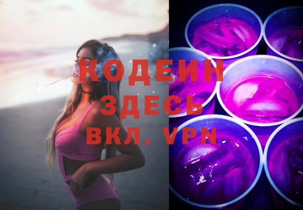 гидра Вяземский