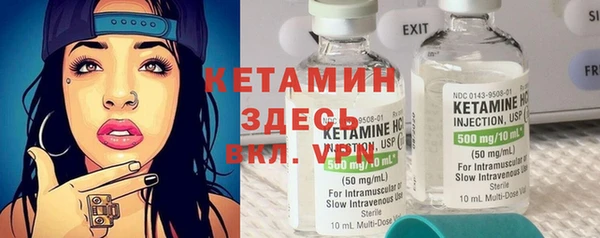 гидра Вяземский