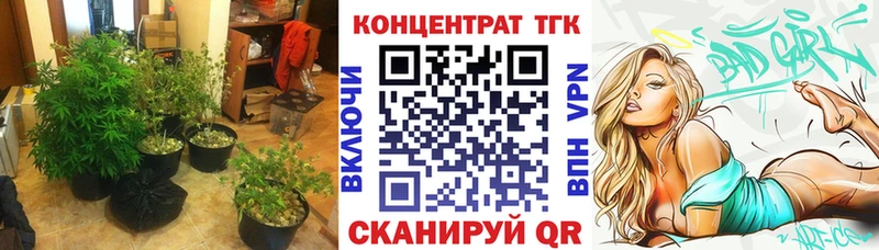 купить наркотик  Моршанск  ТГК Wax 