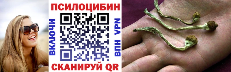 магазин  наркотиков  Моршанск  Псилоцибиновые грибы Cubensis 