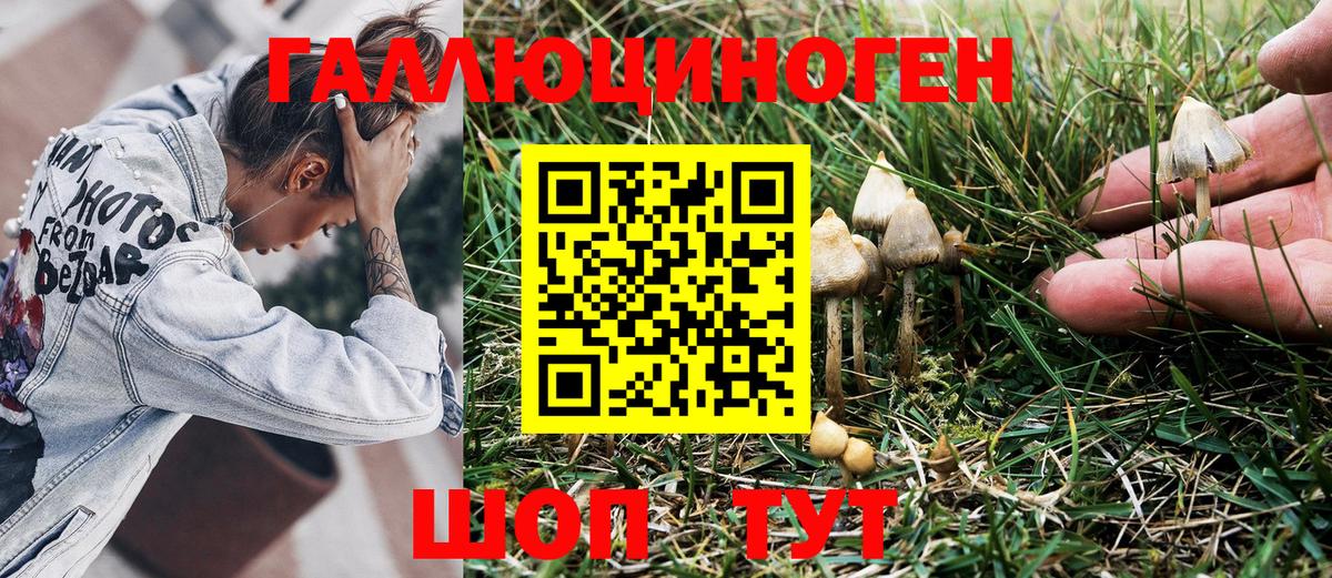 Моршанск  Псилоцибиновые грибы Magic Shrooms  Вход с VPN  Псилоцибиновые грибы прущие грибы 