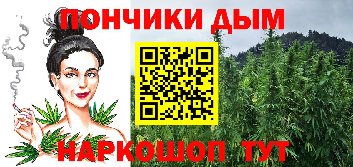 Шишки марихуана конопля Моршанск